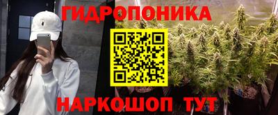 твердый Новозыбков