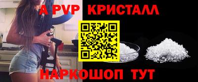 твердый Новозыбков